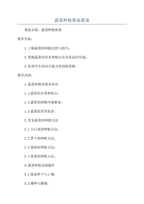 蔬菜种植教案教案
