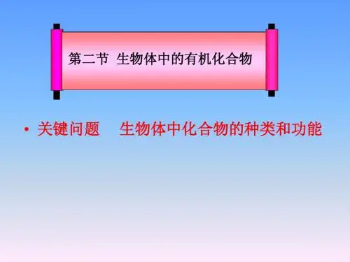 生物中的有机化合物