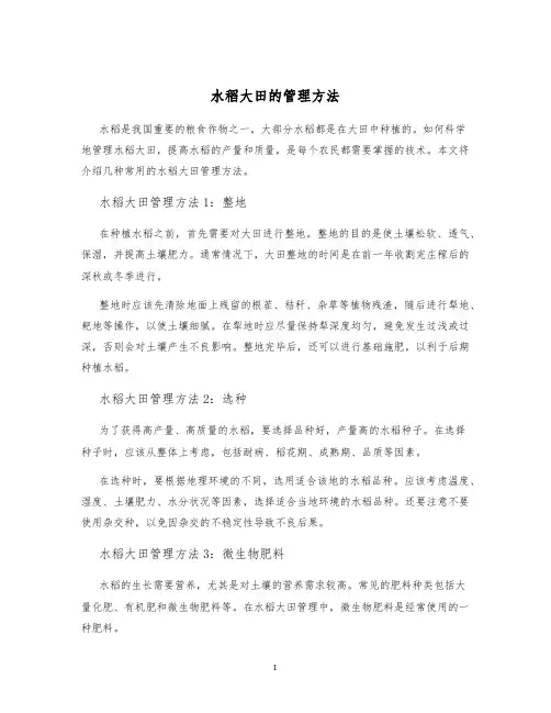 水稻大田的管理方法