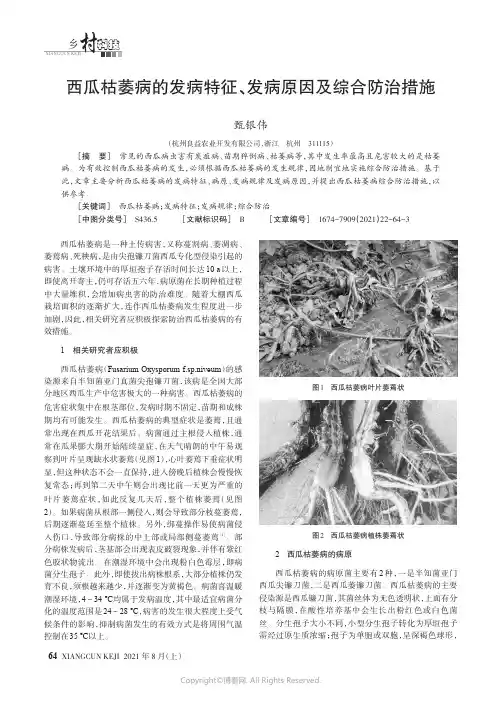 西瓜枯萎病的发病特征、发病原因及综合防治措施