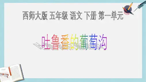 2019-2020年西师大版五年级语文下册第4课《吐鲁番的葡萄沟》课件共12张PPT