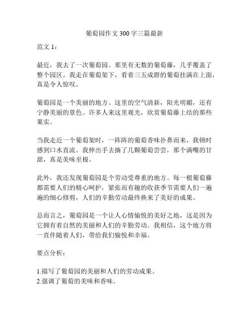 葡萄园作文300字三篇最新