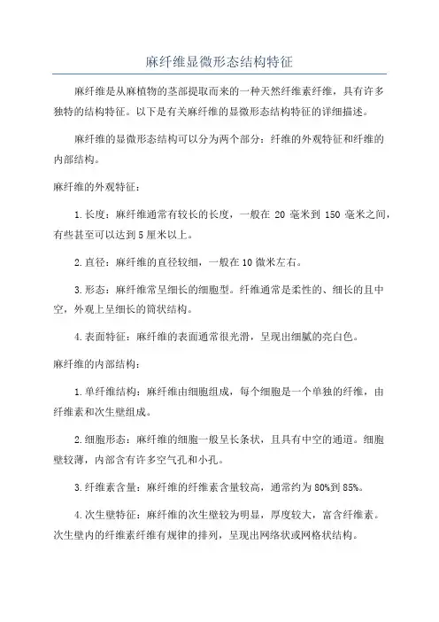 麻纤维显微形态结构特征