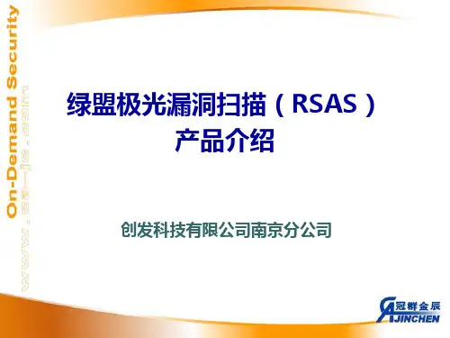 绿盟极光漏洞扫描器