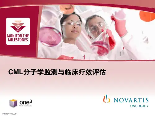 慢性粒细胞白血病分子学监测与临床疗效评估