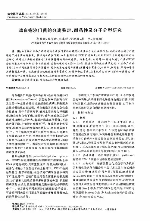 鸡白痢沙门菌的分离鉴定、耐药性及分子分型研究