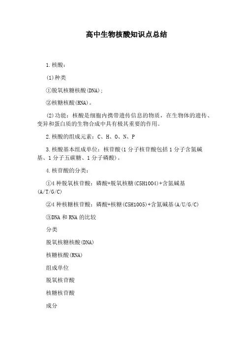 高中生物核酸知识点总结