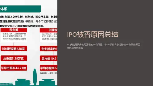 《IPO被否原因总结》课件