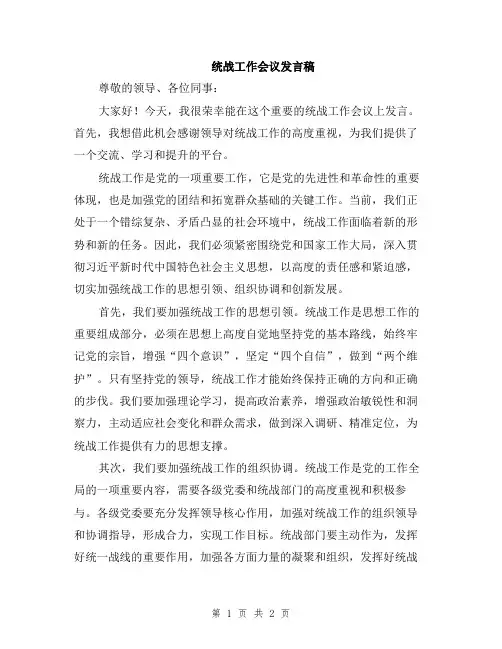 统战工作会议发言稿