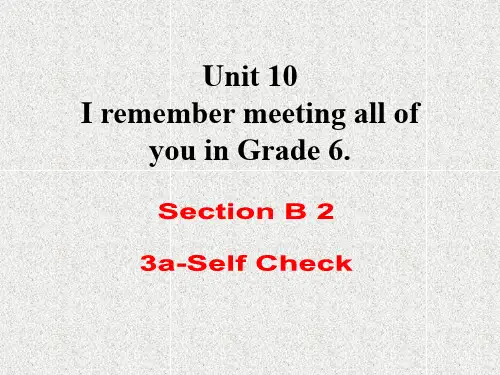 九年级英语unit 10《i remember meeting all...》(sectionb 3a-self check)课件