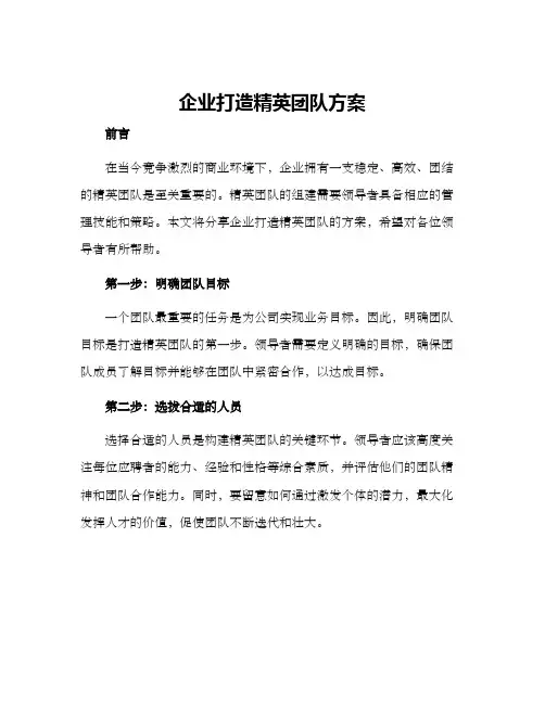 企业打造精英团队方案