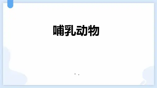 《哺乳动物》PPT课件