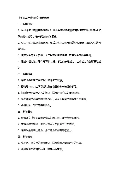 《冬阳童年骆驼队》教案2