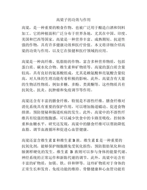 高梁子的功效与作用