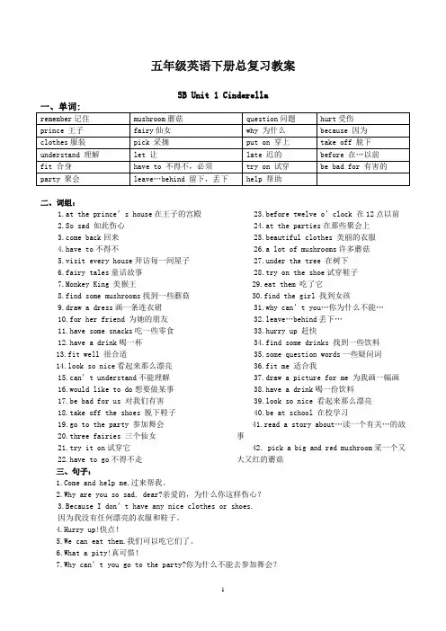 (完整版)新译林小学英语5B五年级下册_全册知识点整理,推荐文档