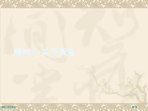 胸椎小关节紊乱