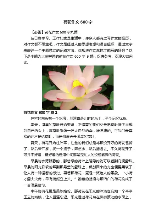 荷花作文600字