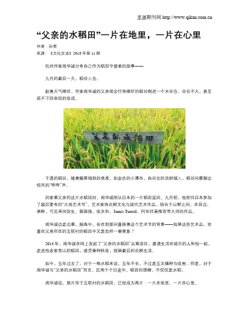 “父亲的水稻田”一片在地里,一片在心里