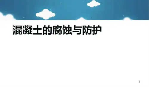 混凝土的腐蚀与防护ppt课件