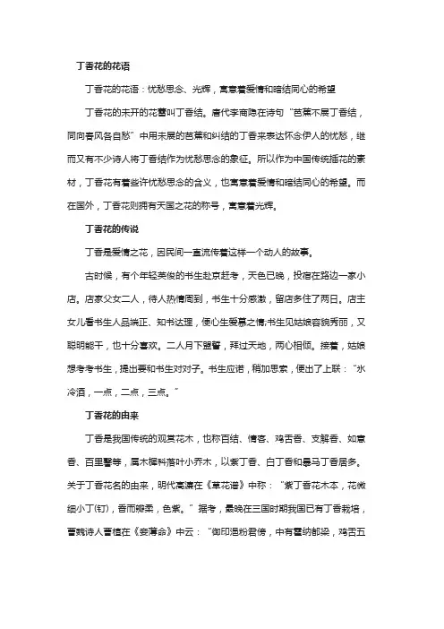 丁香花的花语和传说故事