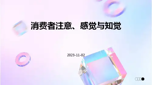 第四讲消费者注意、感觉与知觉