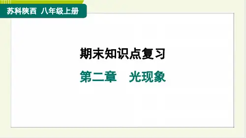 2024年苏科版八年级上册物理期末知识点复习第二章光现象