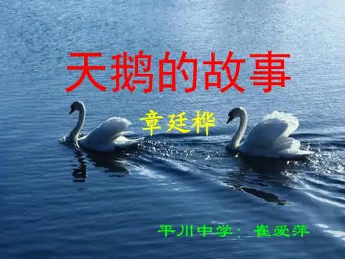 天鹅的故事PPT课件 北师大版 (共10张PPT)