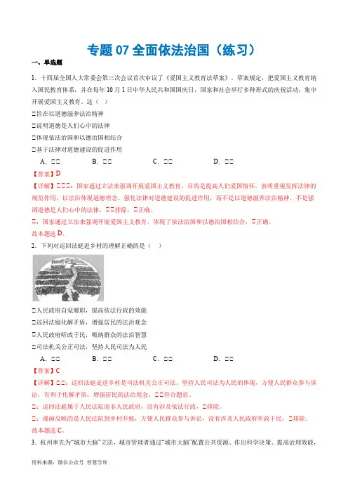 专题07 全面依法治国(练习)(解析版)