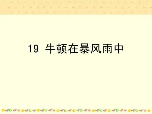 19牛顿在暴风雨中1