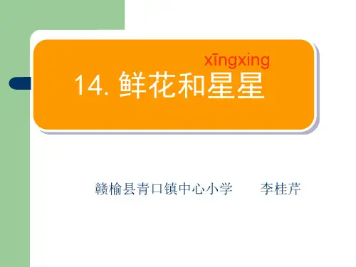 14、鲜花和星星