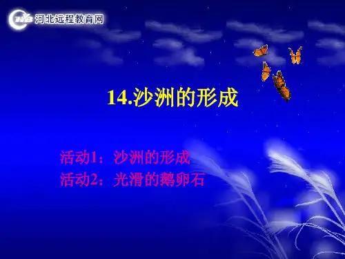 14沙洲的形成