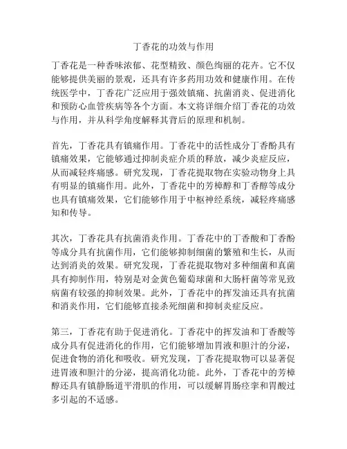 丁香花的功效与作用