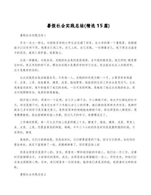暑假社会实践总结(精选15篇)