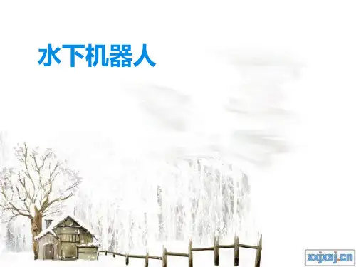 水下机器人