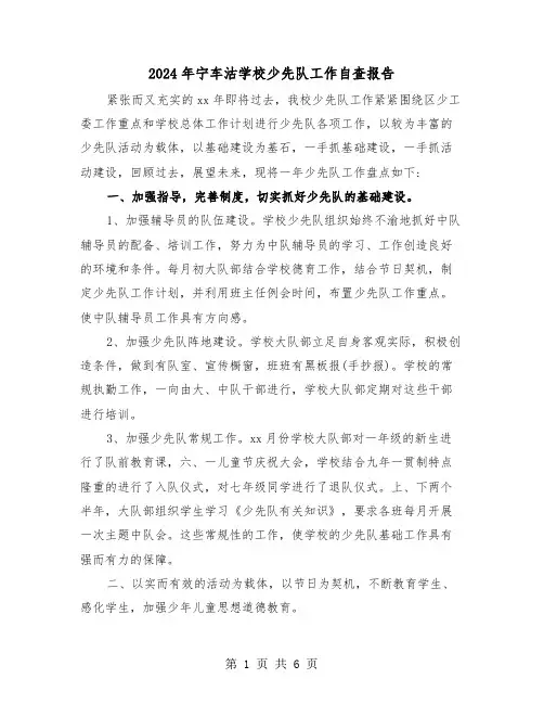 2024年宁车沽学校少先队工作自查报告（2篇）