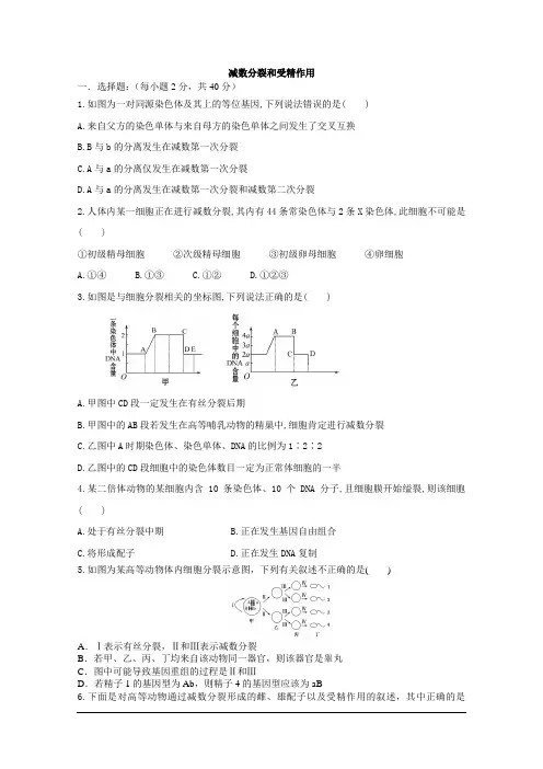 减数分裂和受精作用练习1