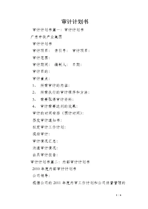 审计计划书