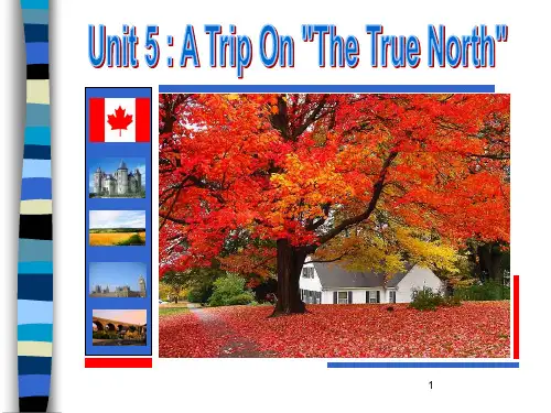 必修三Unit 5： a trip to the true north区级公开课PPT课件