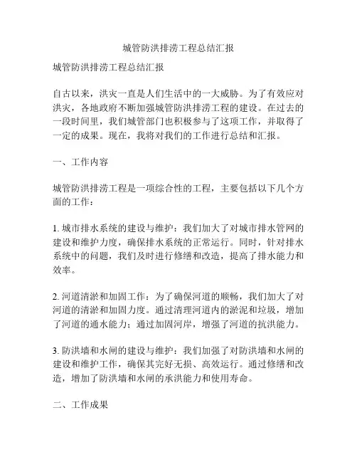 城管防洪排涝工程总结汇报