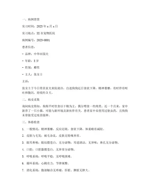 动物医院实习病例报告