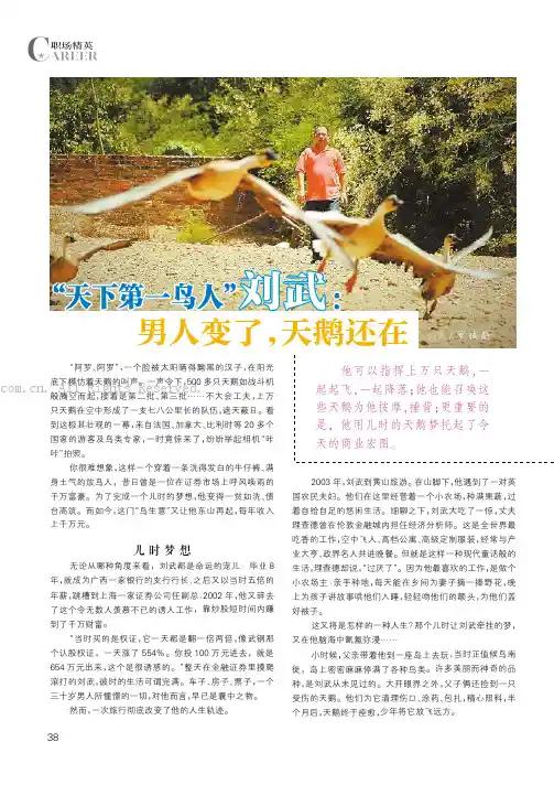 “天下第一鸟人”刘武:男人变了,天鹅还在