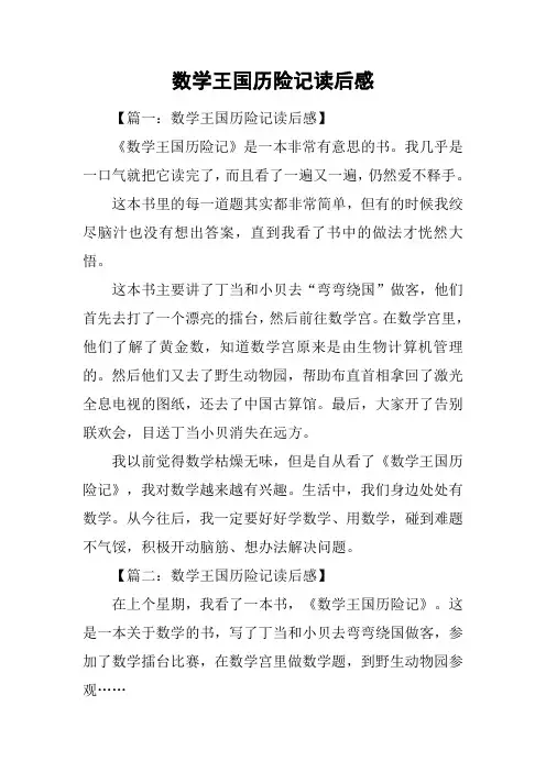 数学王国历险记读后感