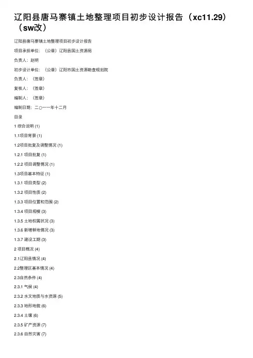 辽阳县唐马寨镇土地整理项目初步设计报告（xc11.29）（sw改）