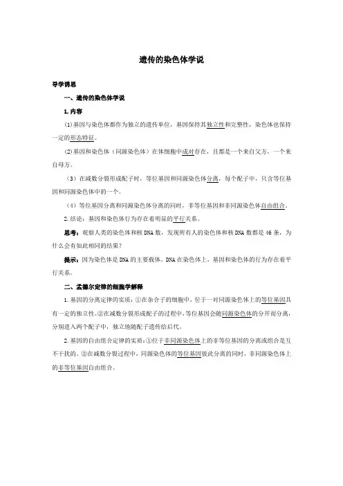 高中生物第二章第二节遗传的染色体学说学案(含解析)浙科版必修2