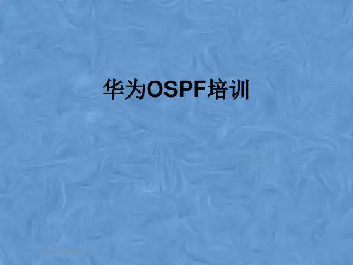 华为OSPF培训