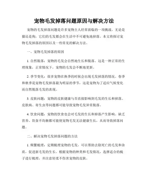 宠物毛发掉落问题原因与解决方法