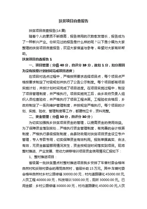 扶贫项目自查报告