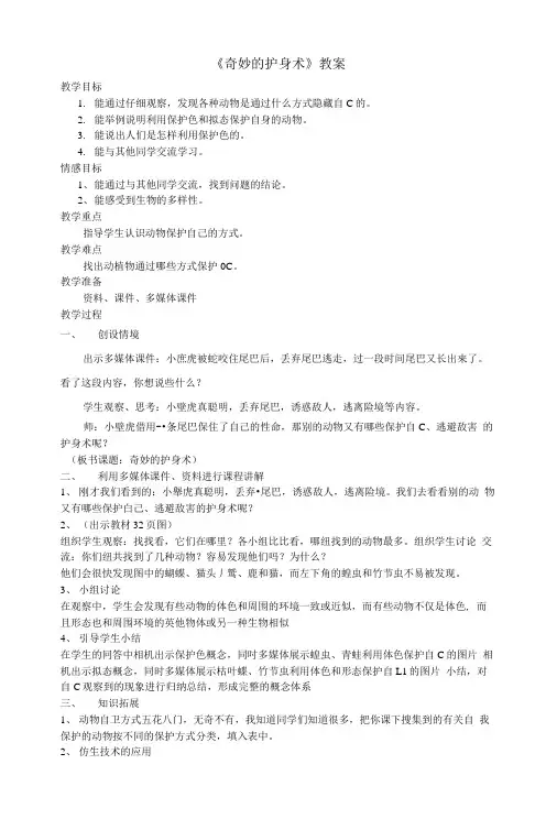 《奇妙的护身术》教案.doc