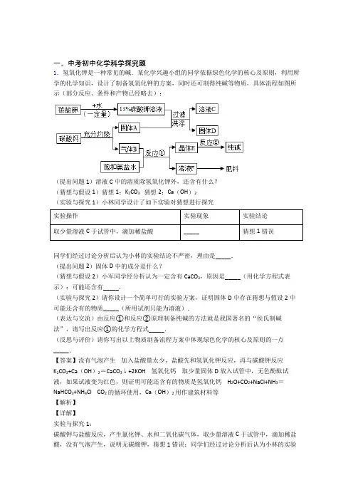 备战中考化学易错题精选-探究题练习题附答案