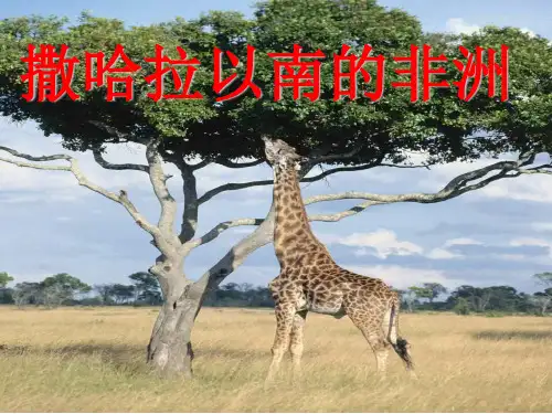 区域地理撒哈拉以南的非洲ppt课件